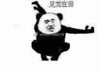 见龙在田（见龙在田）