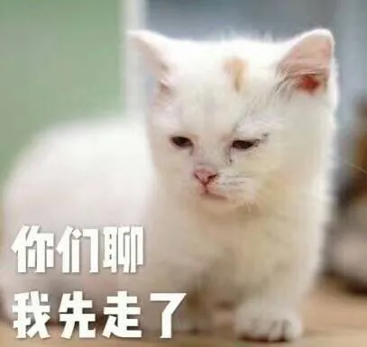 你们聊我先走了（你们聊我先走了）