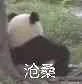 沧桑（沧桑）