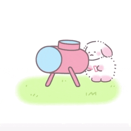 飞呀（飞呀）
