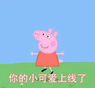 你的小可爱上线了（佩奇小猪）（你的小可爱上线了（佩奇小猪））