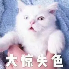 大惊色（大惊色）