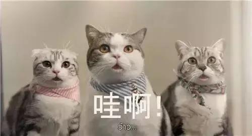 哇啊（哇啊）