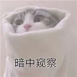 暗中窥察（暗中窥察）