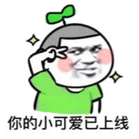 你的小可爱已上线（你的小可爱已上线）