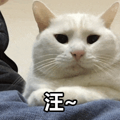 汪（汪）