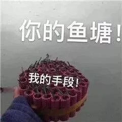 你的鱼塘我的手段！（你的鱼塘我的手段！）