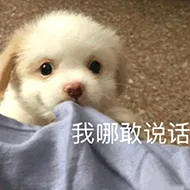 我哪敢说话（我哪敢说话）