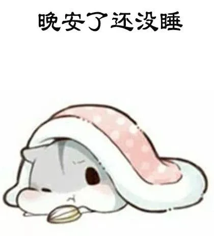 晚安了，还没睡（晚安了，还没睡）