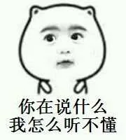 你在说什么我怎么听不懂（你在说什么我怎么听不懂）
