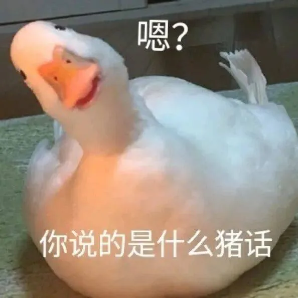 嗯？你说的是什么猪话（嗯？你说的是什么猪话）