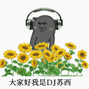 大家好我是DJ苏西（大家好我是DJ苏西）