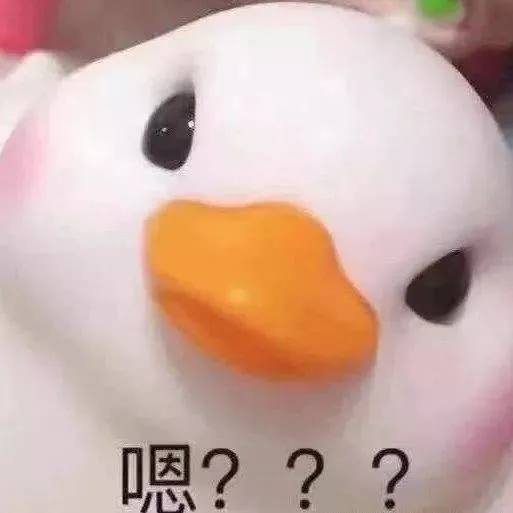 嗯？？？（嗯？？？）