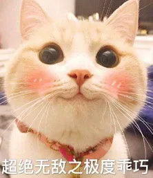 超绝无敌之极度乖巧（超绝无敌之极度乖巧）