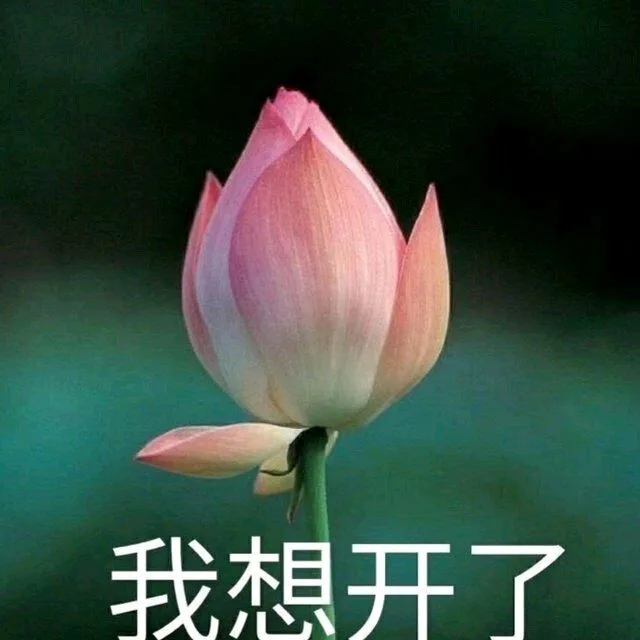 我想开了（我想开了）