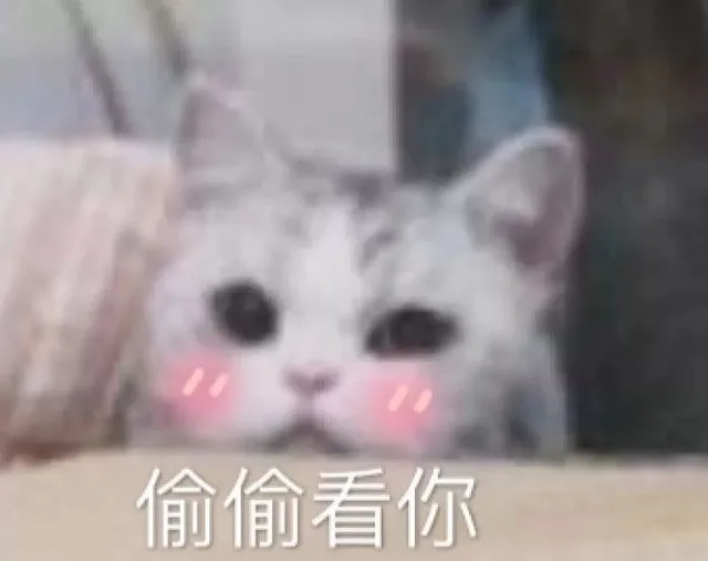 偷偷看你（偷偷看你）