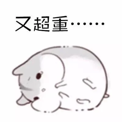 又超重....（又超重....）