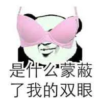 是什么蒙蔽了我的双眼（是什么蒙蔽了我的双眼）