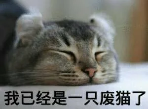 我已经是一只废猫了（我已经是一只废猫了）