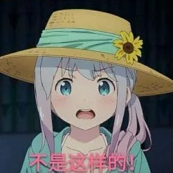 不是这样啊（不是这样啊）
