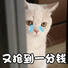 又抢到分钱（又抢到分钱）