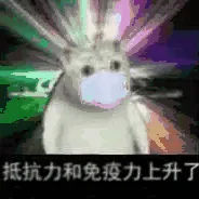 抵抗力和免疫力上升了（抵抗力和免疫力上升了）