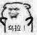 乌拉！（坏坏教皇）（乌拉！（坏坏教皇））