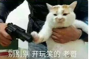 别别别开玩笑的老哥（别别别开玩笑的老哥）