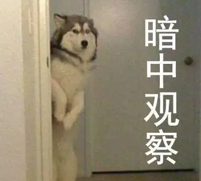 暗中观察（暗中观察）