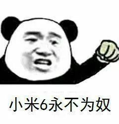 小米6永不为奴（小米6永不为奴）