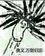 奥义，万剑归宗（奥义，万剑归宗）