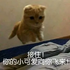 接住你的小可爱向你飞来（接住你的小可爱向你飞来）