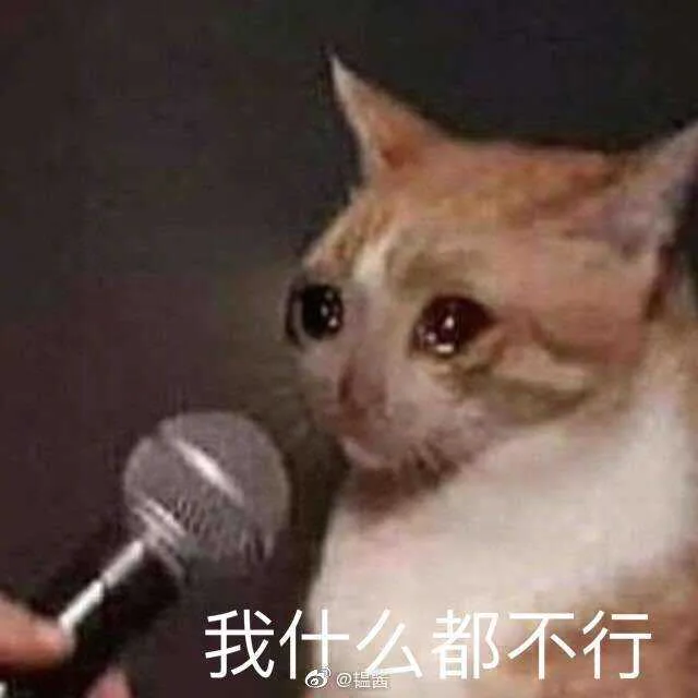 我什么都不行（我什么都不行）