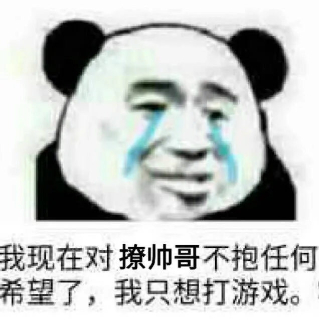我现在对撩帅哥不抱任何希望了，我只想打游戏。（我现在对撩帅哥不抱任何希望了，我只想打游戏。）