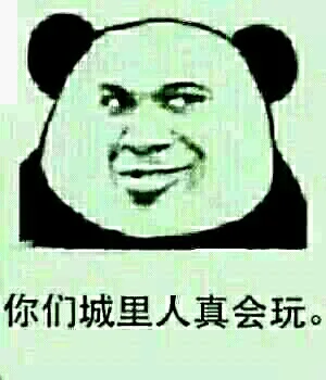 你们城里人真会玩（你们城里人真会玩）