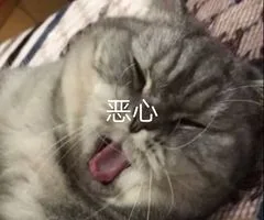 恶心（恶心）