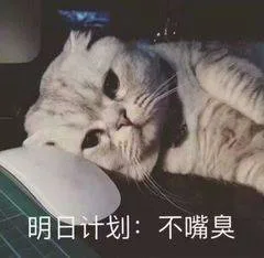 明日计划:不嘴臭（明日计划:不嘴臭）