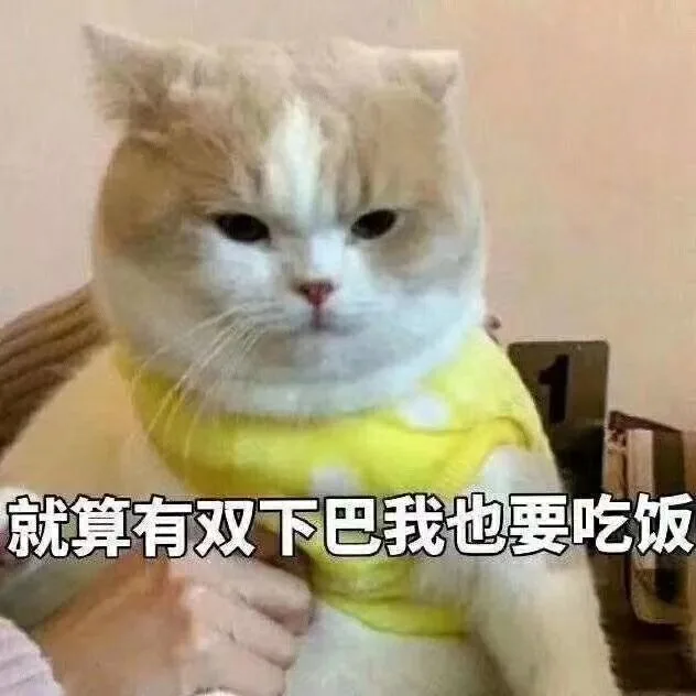 就算有双下巴，我也要吃饭（就算有双下巴，我也要吃饭）