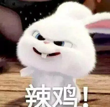 辣鸡（辣鸡）