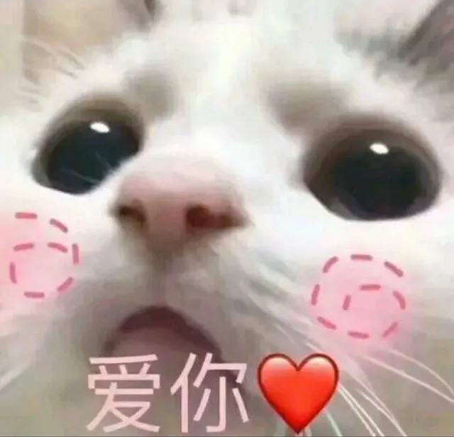 爱你（爱你）