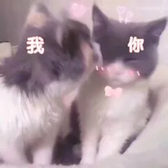 我爱你（我爱你）