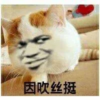 因吹丝挺（因吹丝挺）