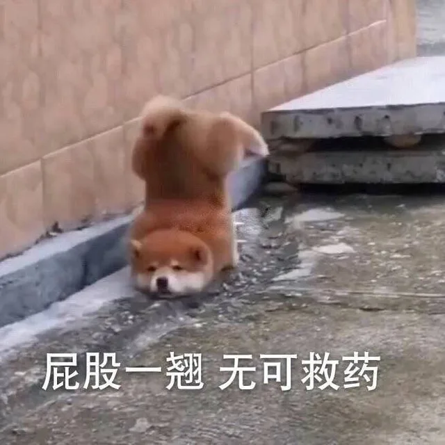 屁股一翘无可救药（屁股一翘无可救药）