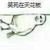 笑死在天花板（笑死在天花板）