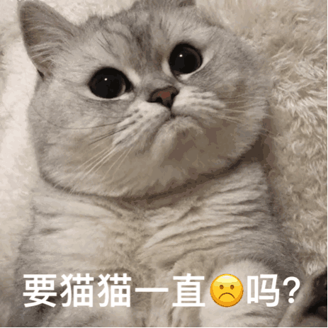 要猫猫一直这样吗？（要猫猫一直这样吗？）