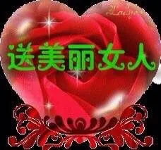 送美丽女人（送美丽女人）