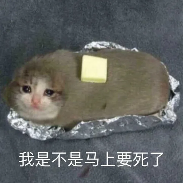 我是不是马上要死了（我是不是马上要死了）