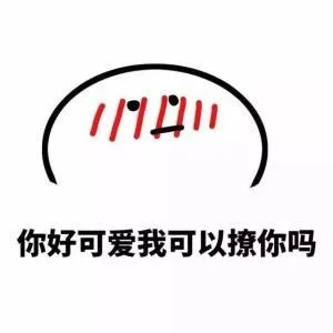 你好可爱我可以撩你吗（你好可爱我可以撩你吗）