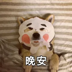 晚安（晚安）