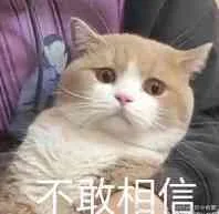 不敢相相信（不敢相相信）